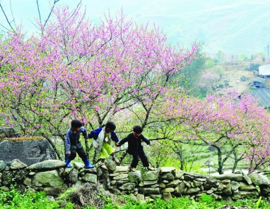 Tour Miền Bắc